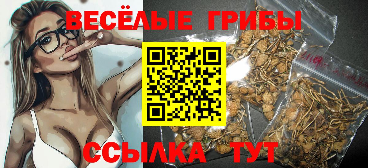 Галлюциногенные грибы мицелий Белгород