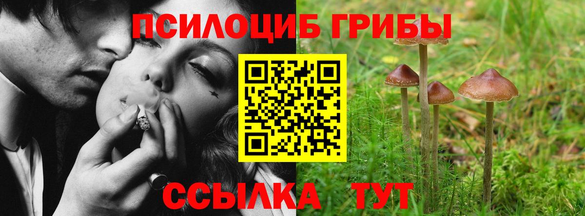 Белгород  Псилоцибиновые грибы MAGIC MUSHROOMS  Вход с VPN 
